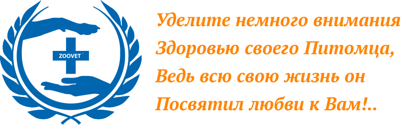 Дерматит у собак отзывы thumbnail