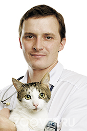 ВЛАДИМИРОВ Владимир Анатольевич