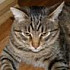 Samy