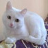 sonyshka_v_seti