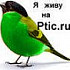 Alla U