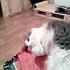 Мария0707