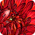 valerievalerie
