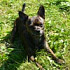 1642004@mail.ru