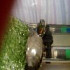 up0351@yandex.ru