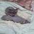 ksysha_90@list.ru