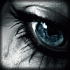 Narcotic2@yandex.ru