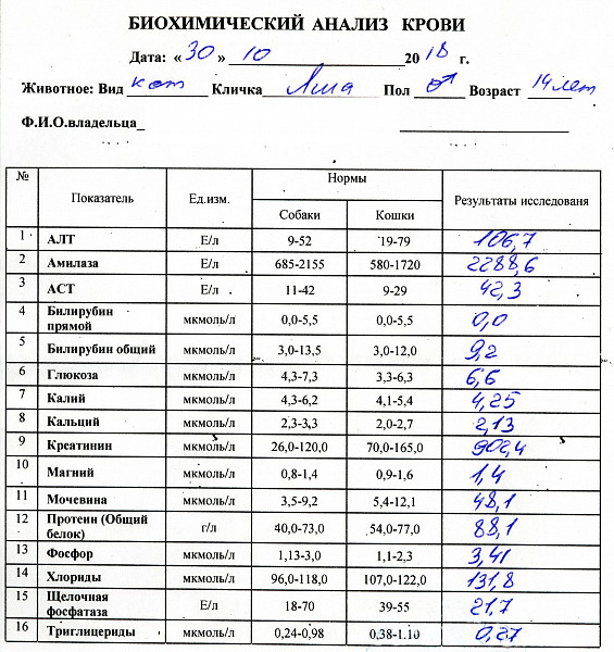 Биохимический анализ крови 1