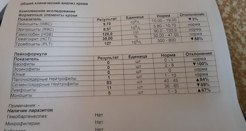 Что в анализах указывает на онкологию. Анализ крови онкобольного. Общий анализ крови показать р. Общий анализ крови при онкологии. Кровь онкология анализ крови.