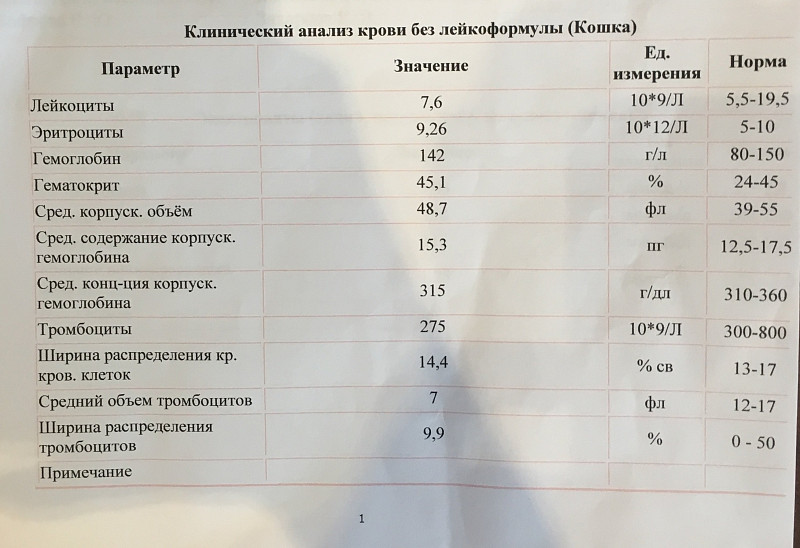 Анализы крови перед операцией какие