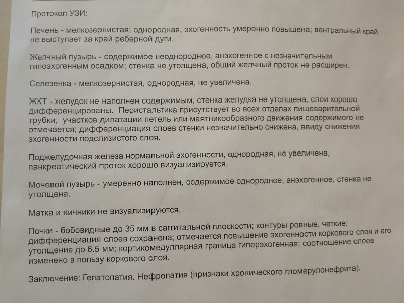 УЗИ мочевого пузыря цистит протокол. Умеренная эхогенность печени