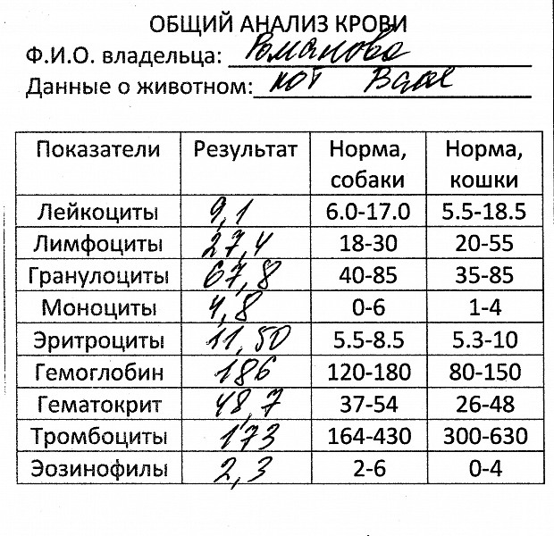 Триглицериды повышены у собаки. Биохимия крови цыплят бройлеров показатели. Печеночные показатели крови у собак. 8. Показатели биохимии на печеночный профиль.
