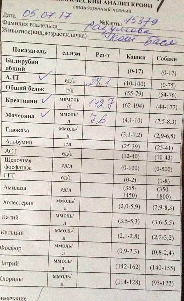 Алт 100. Токсическая зернистость нейтрофилов в общем анализе крови. Токсогенная зернистость нейтрофилов. Токсигенная зернистость нейтрофилов.