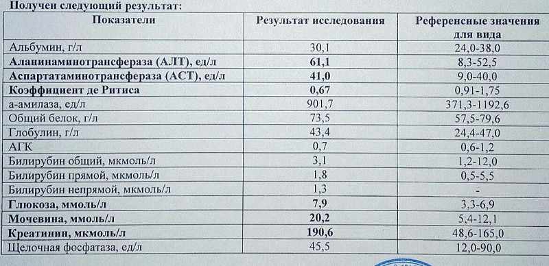 Почему повышается аст. Алт щелочная фосфатаза норма. Норма алт и АСТ В крови при беременности. АСТ норма у беременных. Алт и АСТ норма у беременных женщин.