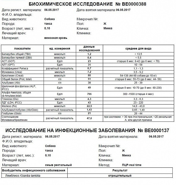 Альфа амилаза повышена у мужчин