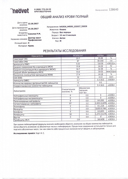У кота повышен креатинин