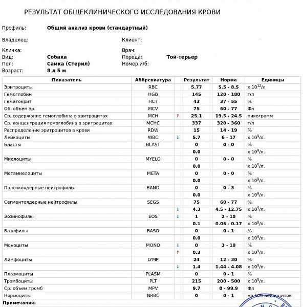 Анализы биохимии собаки. Анализ крови у собаки биохимия расшифровка. Расшифровка биохимического анализа крови у собак мелких пород. Биохимический анализ крови у собак расшифровка. Исследование крови у собак расшифровка.