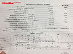 Гематокрит понижен у кота что это значит. 0ebdadb9c1198a5886a1470967a868a6. Гематокрит понижен у кота что это значит фото. Гематокрит понижен у кота что это значит-0ebdadb9c1198a5886a1470967a868a6. картинка Гематокрит понижен у кота что это значит. картинка 0ebdadb9c1198a5886a1470967a868a6. 5 мес, 1,2кгчто можете сказать по адекватности проводимой терапии и целесообразности применения экопина: на улице был найден котенок, отловлен, состояние удовлетворительное, блохи, раздутый живот.