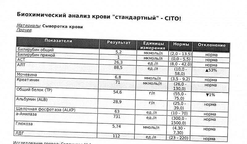 Анализы биохимии собаки. Биохимия анализ собака. Отравление собак анализ крови. Биохимия крови у собак. Биохимический анализ крови у собак.