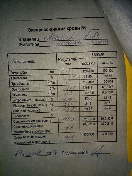Цитологическое исследование мазков норма. Исследование мазков на гонококки норма. Результат цитологического исследования при онкологии. Срб результат анализа норма. Нормы цитологического исследования мазка шейки матки.