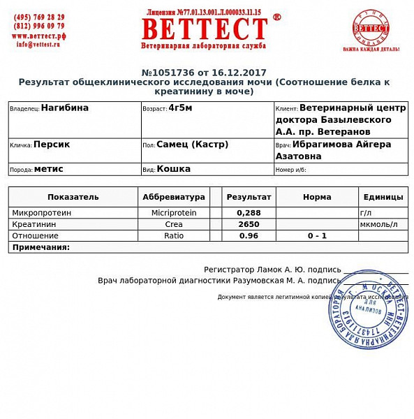 Креатинин у кота повышен