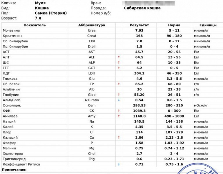 Анализ креатинин норма у мужчин