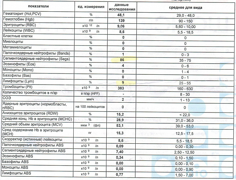 Повышенные эритроциты у ребенка 2 года