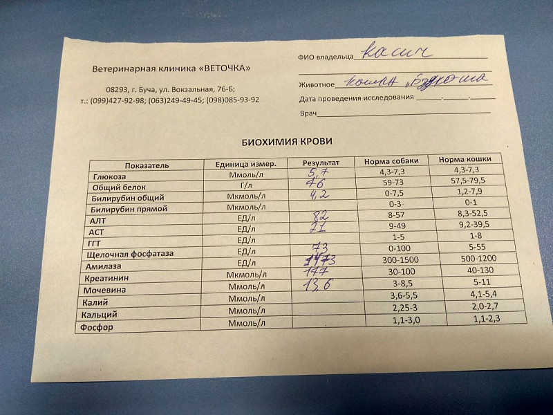 Когда можно сдавать анализы после антибиотиков. Анализы при сахарном диабете. Сахарный диабет анализ крови. Анализы для выявления диабета. Какие анализы сдают на сахарный диабет.