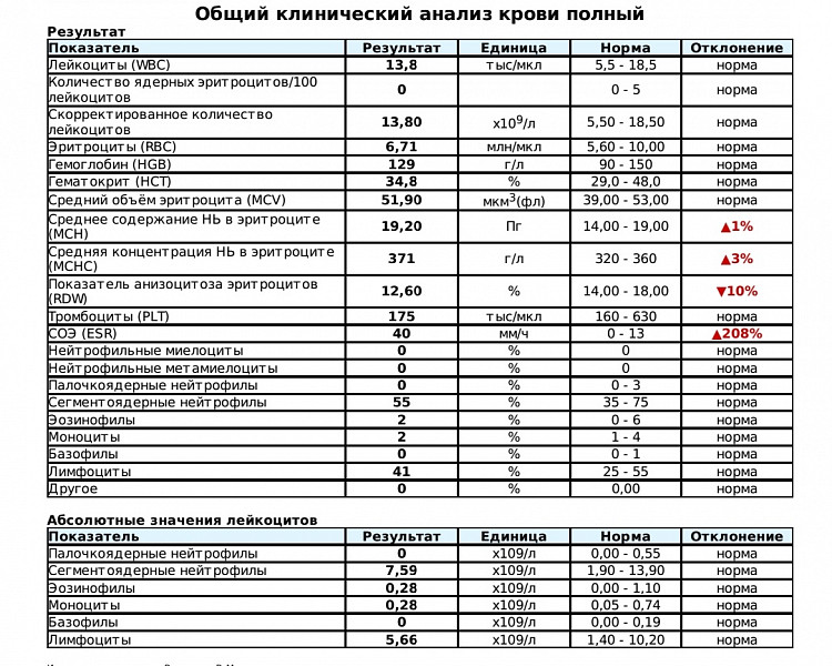 Кот в беде - 09 ноября 2021 - Форум Зоовет