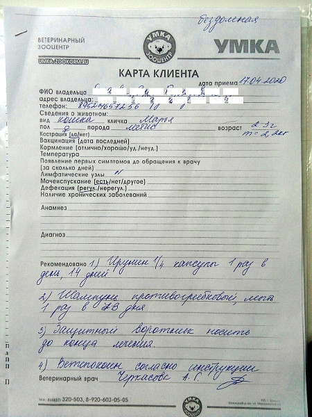 Ветеринарный рецепт образец