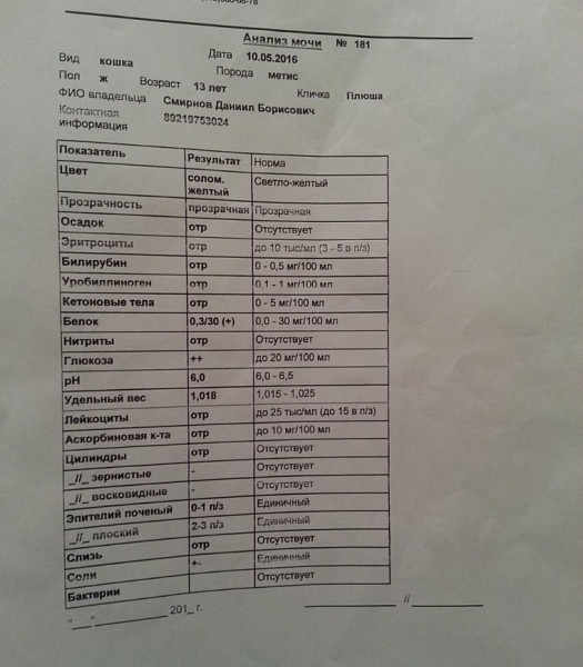 Общий анализ мочи холодильник. Анализ мочи на соли. МАУ анализ мочи.