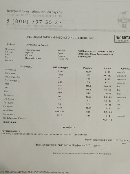 Результат анализа алт. АСТ алт что это за анализы.