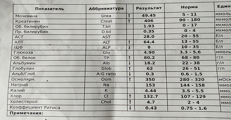 Креатинин повышен форум. Показатель креатинина в норме у мужчин. Расшифровка анализа крови креатинин норма. Биохимический анализ крови креатинин показатели нормы. Мочевина и креатинин в крови норма.