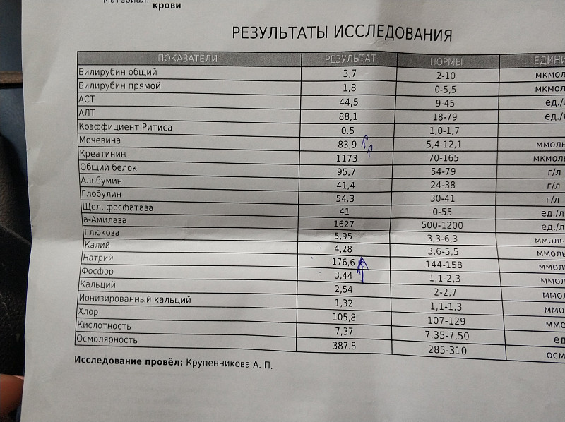 Результаты крови креатинин. Биохимия крови анализ показатели почек. Биохимия крови почечные показатели крови. ХПН анализ крови биохимический. Анализ крови почечные показатели биохимический анализ.