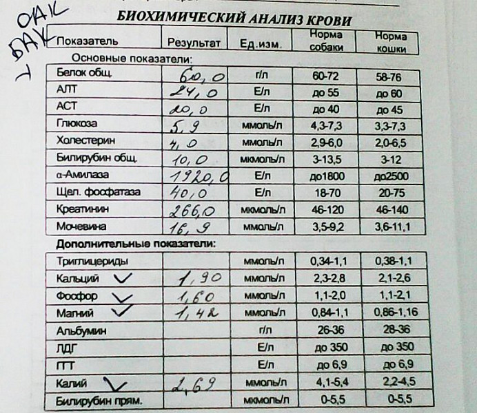 Анализ б а к