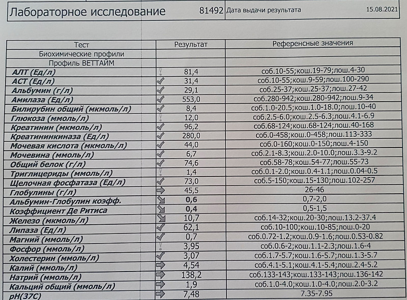 Триглицериды в биохимическом анализе крови