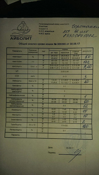 исследование уровня ферритина в крови норма. анализ mg. биохимический анализ крови креатинин норма. биохимический анализ крови расшифровка у женщин 75 лет норма. витамин в12 результат анализа.