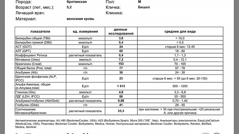 Креатинин повышен форум. Показатели анализа крови расшифровка биохимия билирубин. Показатели анализа мочи , крови , биохимии. Биохимический анализ крови билирубин показатели нормы. Биохимические показатели в норме билирубин.