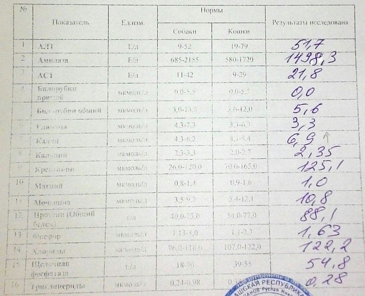 Плохой анализ крови после