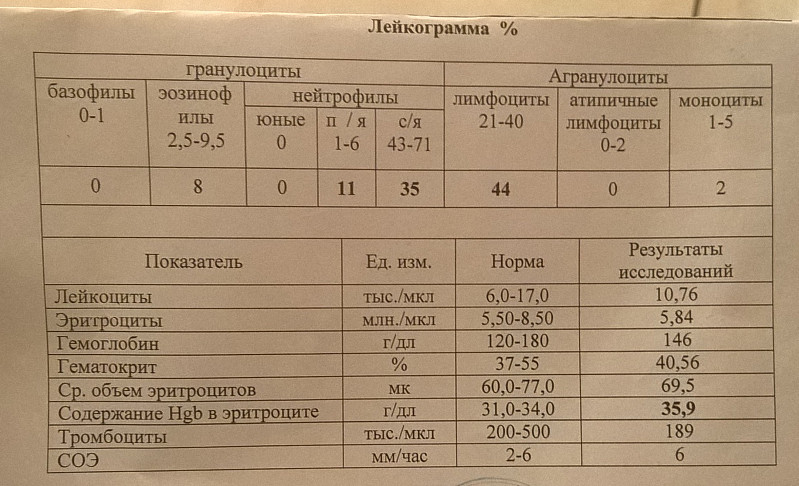 Лейкоцитарная формула крови у взрослых таблица