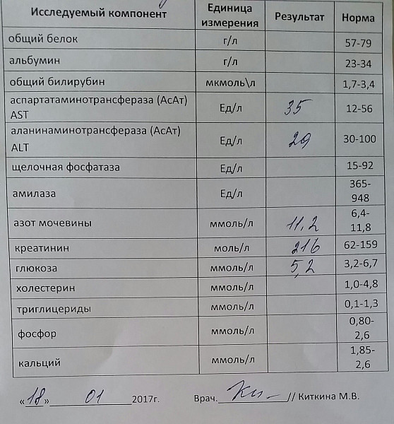 Биохимический анализ крови глюкоза норма