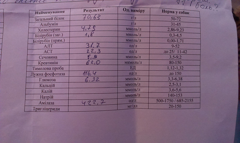 Алт аст норма у женщин по возрасту. Алт у собак норма. Показатели Глюкозы у собак. Норма сахара у собак. Норма Глюкозы у собак.