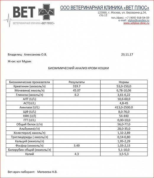 Кфк в биохимическом анализе повышен. Альбумин у кошек норма. Показатель КФК У кошек. Калий в крови кошки. Glob в биохимическом анализе крови кошки.