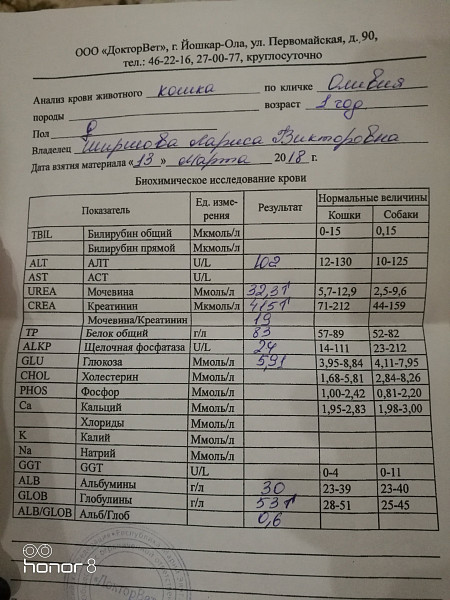 Пиелонефрит показатели анализов