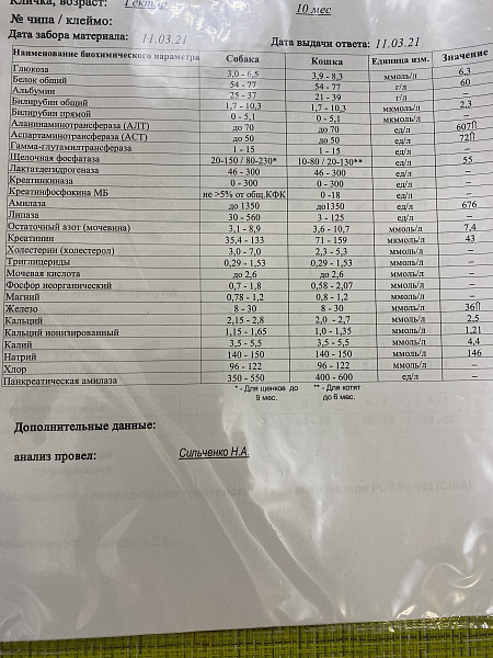 Алт в биохимическом анализе повышен