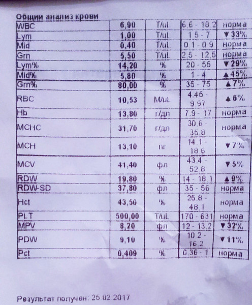 Mpv ср. средний объем тромбоцитов в крови (mpv). Wbc лейкоциты в анализе крови норма. объем тромбоцита 12. Mpv норма у женщин.