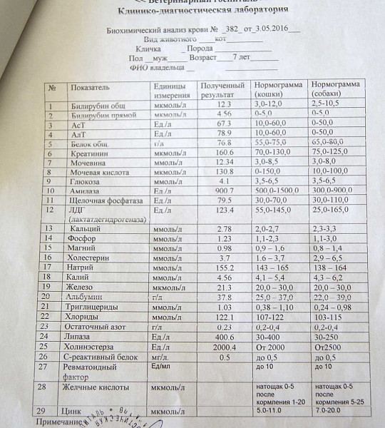 Биохимия крови откуда берут. Ревматоидный фактор в анализе крови расшифровка. Биохимический анализ крови норма ревматоидный фактор. Ревматоидный фактор в анализе крови норма. Анализ крови биохимия ревмофактор норма.