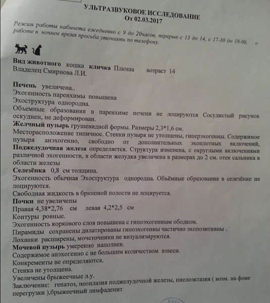 Поджелудочная железа узи эхогенность повышена. Свободная жидкость в брюшной полости на УЗИ. Свободная жидкость в брюшной полости заключение УЗИ. Свободная жидкость в брюшной полости в норме. Жидкость в брюшной полости на УЗИ заключение.