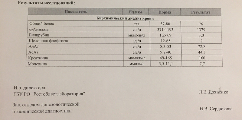 Анализы за 3 часа. Анализ крови на ревмопробы норма. Нормы биохимии крови у морских свинок. Ревмопробы в биохимии. Биохимические показатели крови у морских свинок.