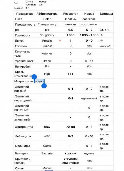 Анализ мочи норма и расшифровка результатов таблица Помогите- анализ мочи кошки - 11 апреля 2018 - Форум Зоовет
